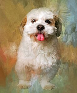 Fluffy Shih Tzu Paint by numbers