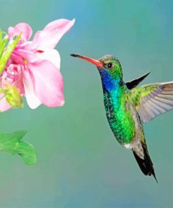 Flying Hummingbird And Pink Flower Paint by numbers