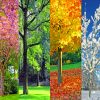 four-seasons-paint-by-number