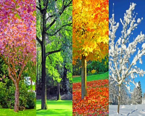 four-seasons-paint-by-number