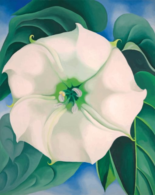 Georgia O Keeffe White Flower Paint by numbers