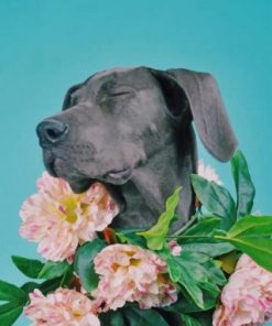 Great Dane With Flowers Crown Paint by numbers