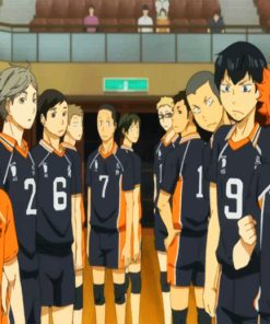 Haikyuu Team Paint by numbers