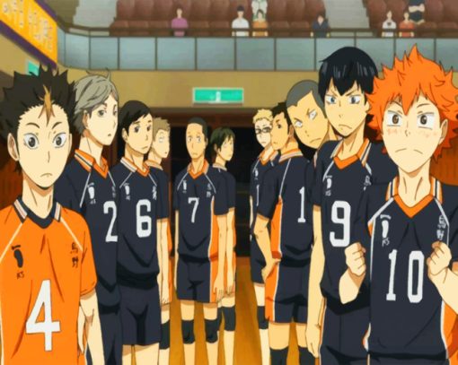 Haikyuu Team Paint by numbers