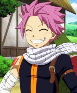 Happy Natsu From Fairy Tail Paint by numbers