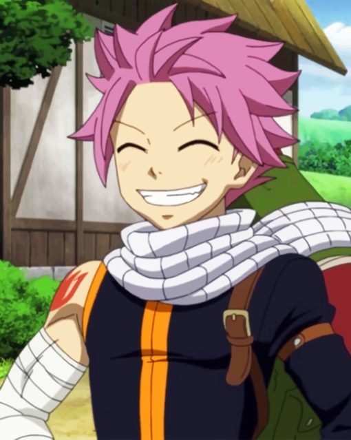 Happy Natsu From Fairy Tail Paint by numbers