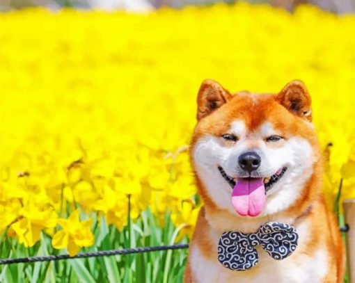 Shiba Inu Dog Paint by numbers