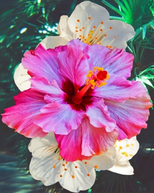 Hibiscus Flower Paint by numbers