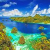 Raja Ampat Regency Paint by numbers