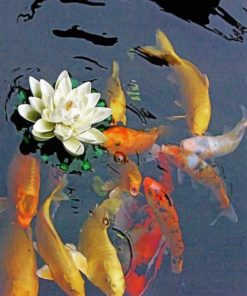 Koi Fish Pond paint by numbers