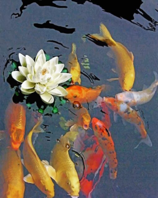 Koi Fish Pond paint by numbers