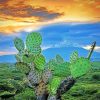 Mexican Cactus Paint by numbers