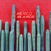 Mexico Mi Amor Paint by numbers