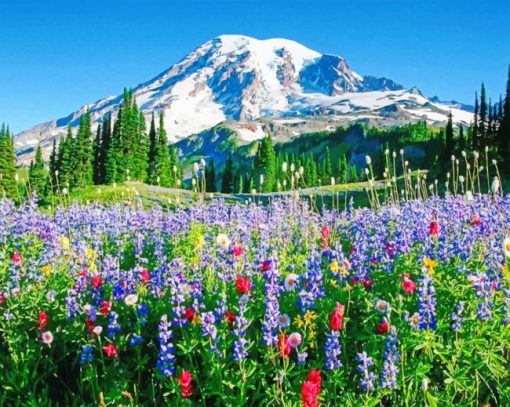 Mount Rainier paint by numbers