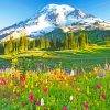 Mount Rainier Paradise paint by numbers