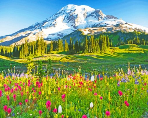 Mount Rainier Paradise paint by numbers