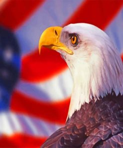 Patriotic Eagle Bird paint by numbers