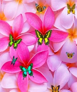 Plumeria Flowers And Butterflies Paint by numbers