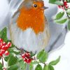 Robin Bird Enjoying The Snow Paint by numbers