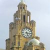 Royal Liver Building Paint by numbers