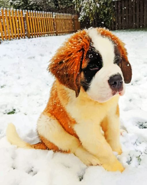 Little Saint Bernard paint by numbers