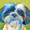 Shih Tzu Pet Paint by numbers