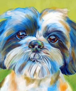 Shih Tzu Pet Paint by numbers