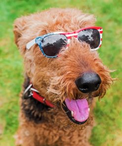 Stylish Airedale paint by numbers