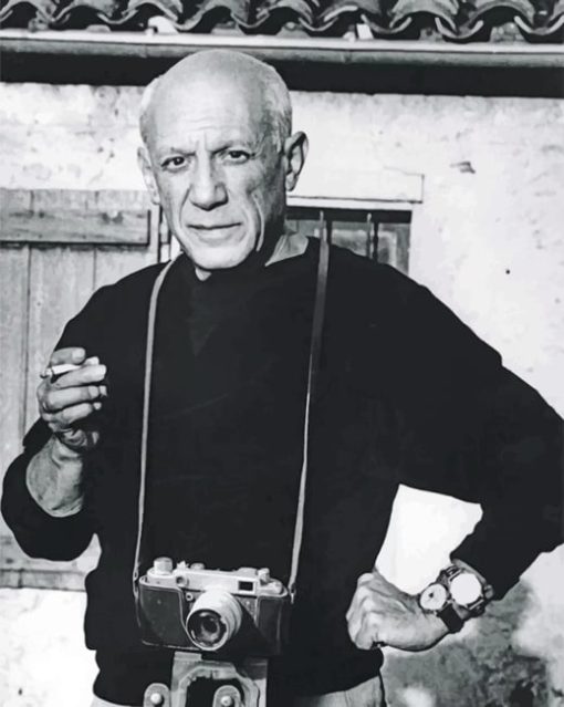 The Legend Pablo Picasso Paint by number