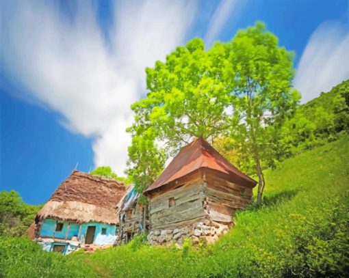 Traditional House In Romania Paint by numbers