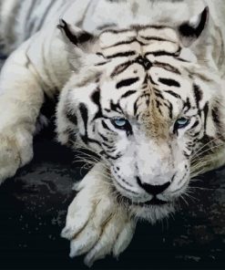 White Tiger paint by numbers