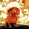 Christmas Dachshund Paint by numbers