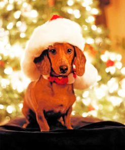 Christmas Dachshund Paint by numbers