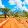 Africa Tsavo West Kenya Paint by numbers