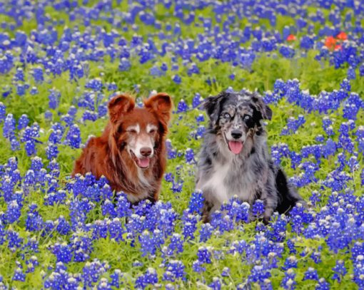 Bluebonnets And Dogs Paint by numbers