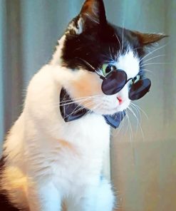 Cat With Black Sunglasses Paint by numbers