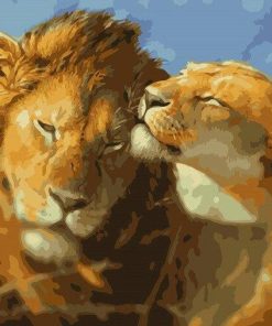 Lions Couple Paint by numbers