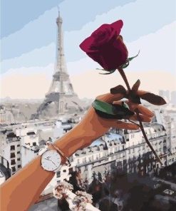 Red Rose Paris Paint by numbers