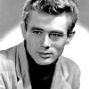 James DeanJames Dean numbersPaint by