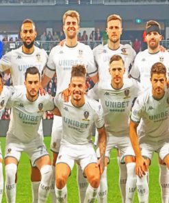 Leeds United Team Paint by numbers