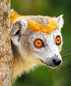 Lemur paint by numbers