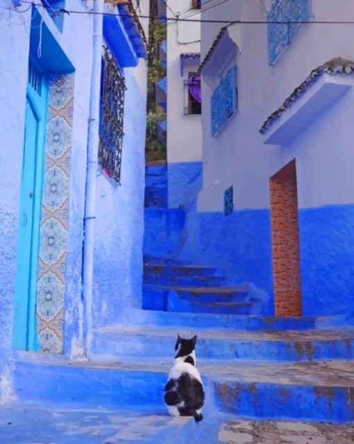 Moroccan Cat Paint by numbers