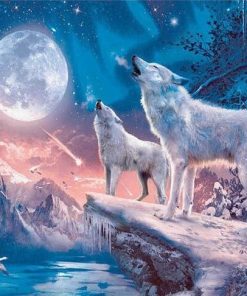 Northern Lights Wolves paint by numbers