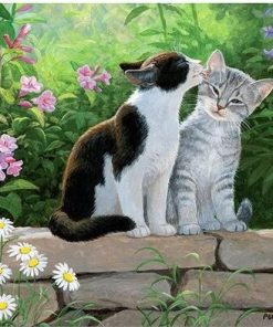 Cat Kissing Paint by numbers