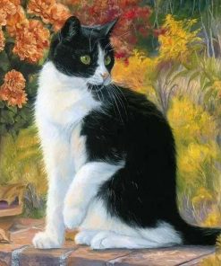 Black And White Cat Paint by numbers