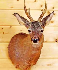 Roe Deer Head Mounted Paint by numbers