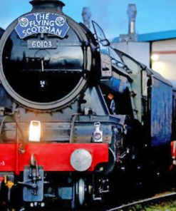 Flying Scotsman Paint by numbers