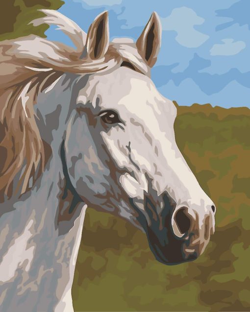 Thoroughbred White Horse paint by numbers