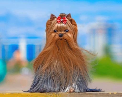 Yorkshire Terrier paint by numbers