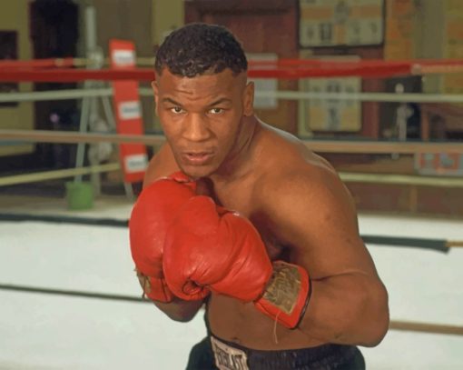 Young Mike Tyson Paint by numbers